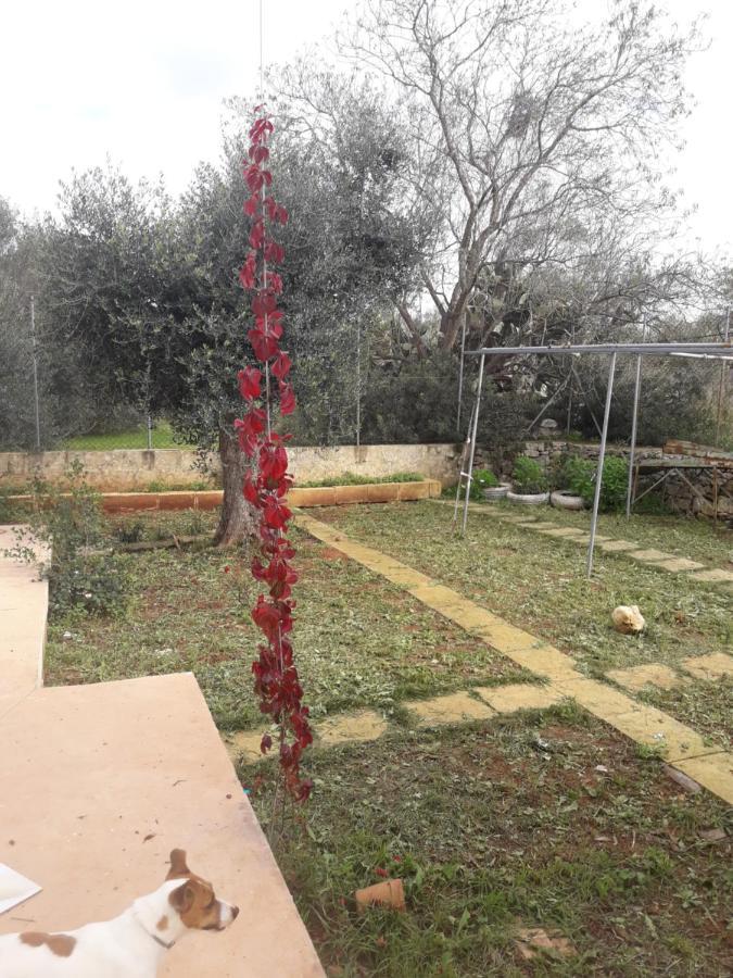 Bed and Breakfast Microborgopasca Sannicola Exterior foto