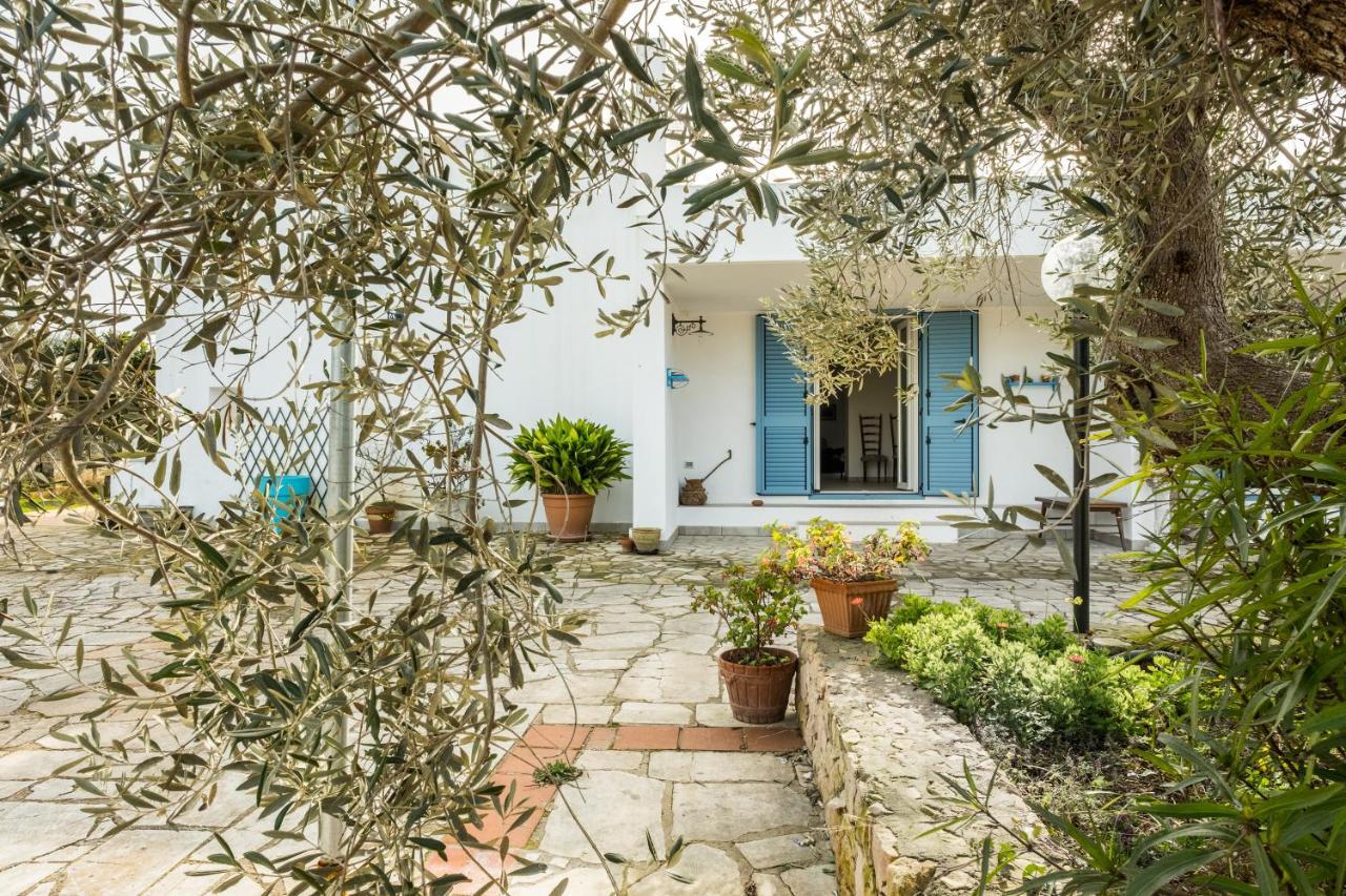 Bed and Breakfast Microborgopasca Sannicola Exterior foto