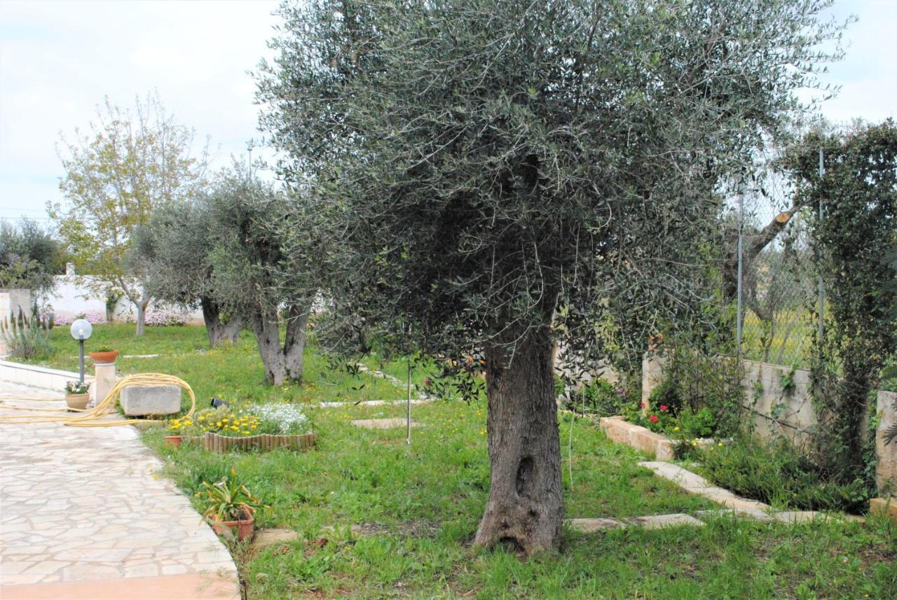 Bed and Breakfast Microborgopasca Sannicola Exterior foto
