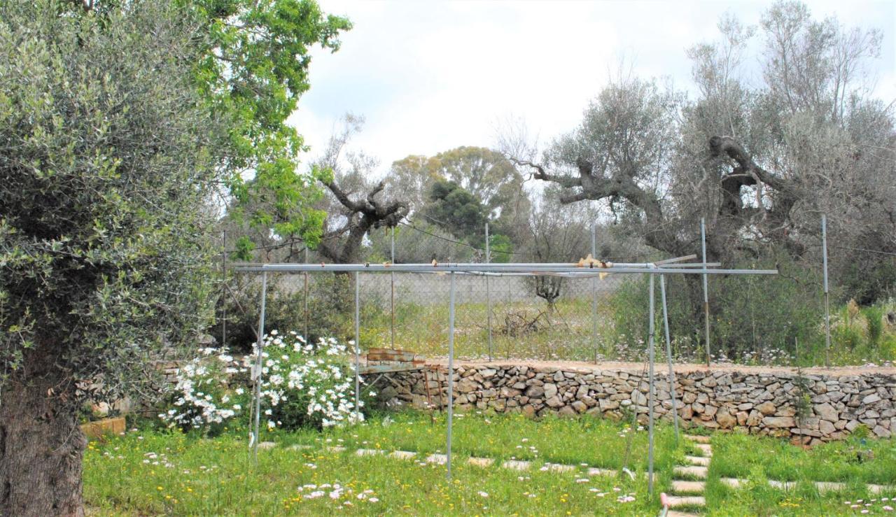 Bed and Breakfast Microborgopasca Sannicola Exterior foto