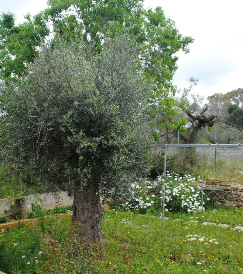 Bed and Breakfast Microborgopasca Sannicola Exterior foto